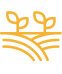 Pasos